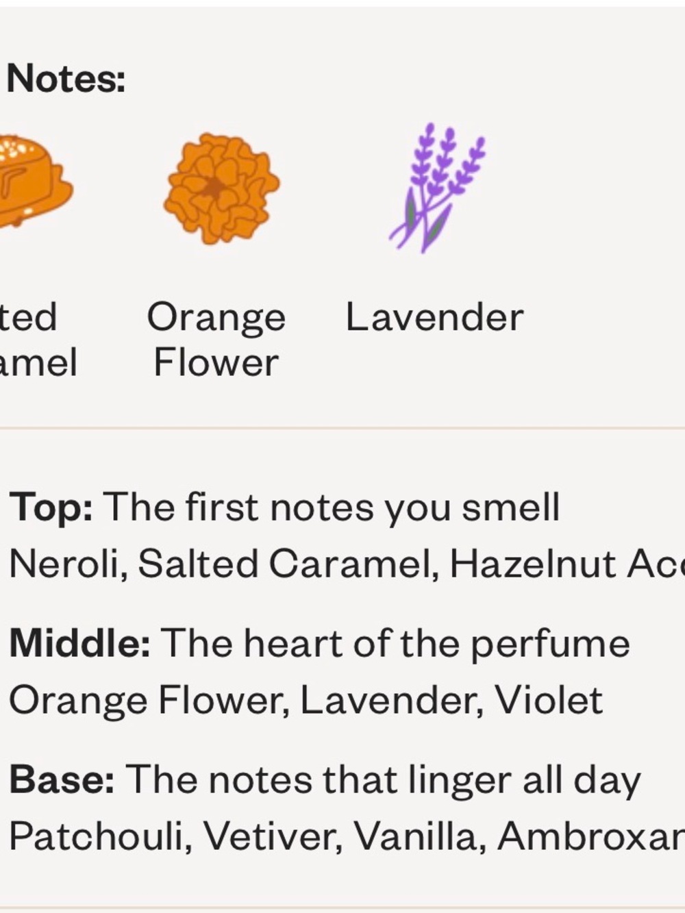 Dossier Neroli Romance - Picture 3 of 3